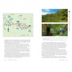 Top Walks in Victoria | Melanie Ball | 3rd Edition